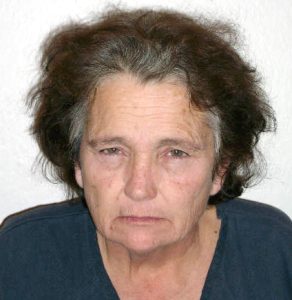 Susan DeJong